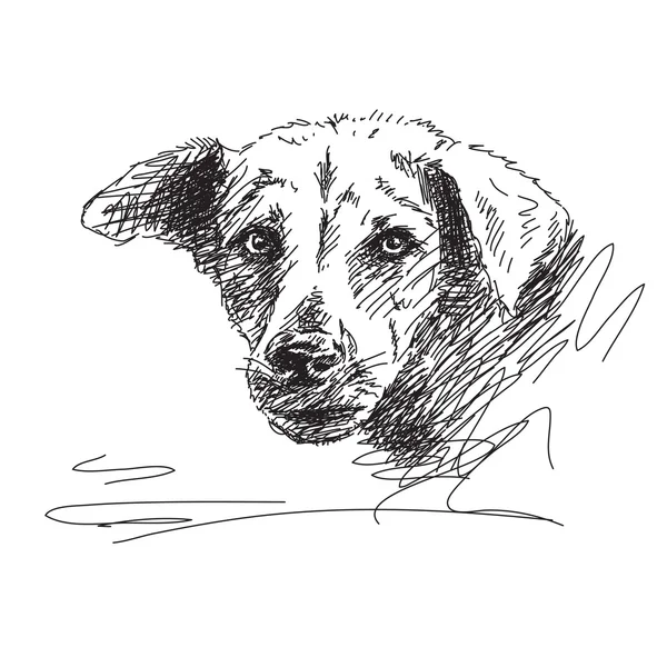 Hand drawn dog portrait — Stock Vector