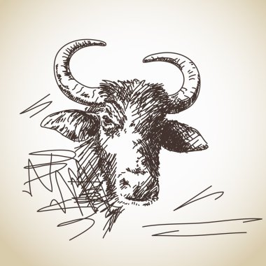 Bizonlar
