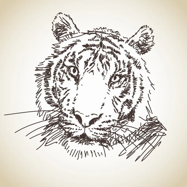 Tiger — Stock vektor