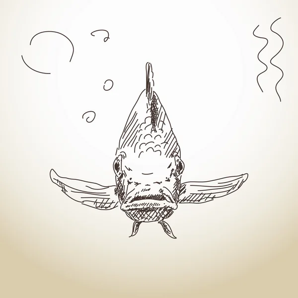 魚 — ストックベクタ