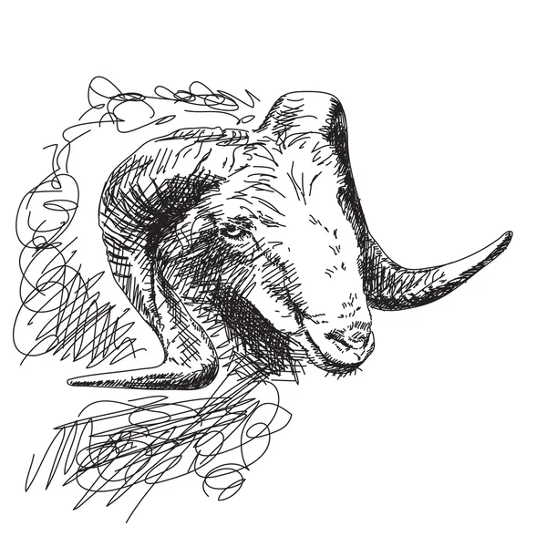 Koza s velkými rohy — Stockový vektor