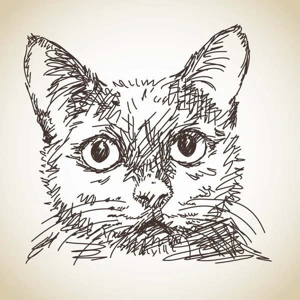 Cat portrait — Stock Vector