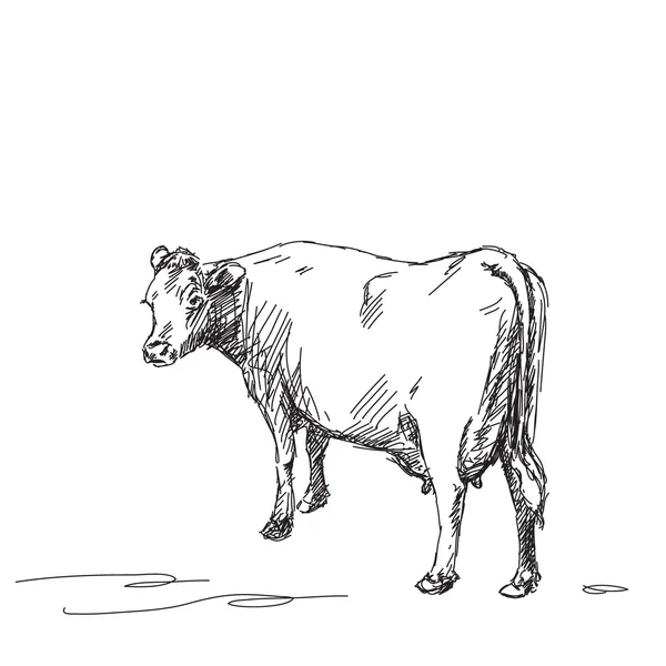 Croquis de vache laiteuse — Image vectorielle