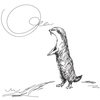 Small Clawed Otter Free Vector Eps Cdr Ai Svg Vector Illustration Graphic Art