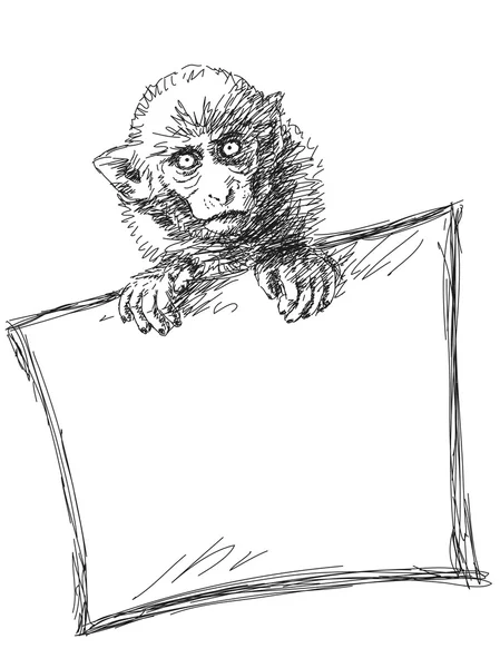 Scimmia con striscione — Vettoriale Stock