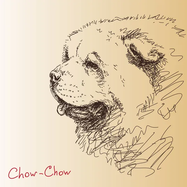 Chow-Chow — Wektor stockowy