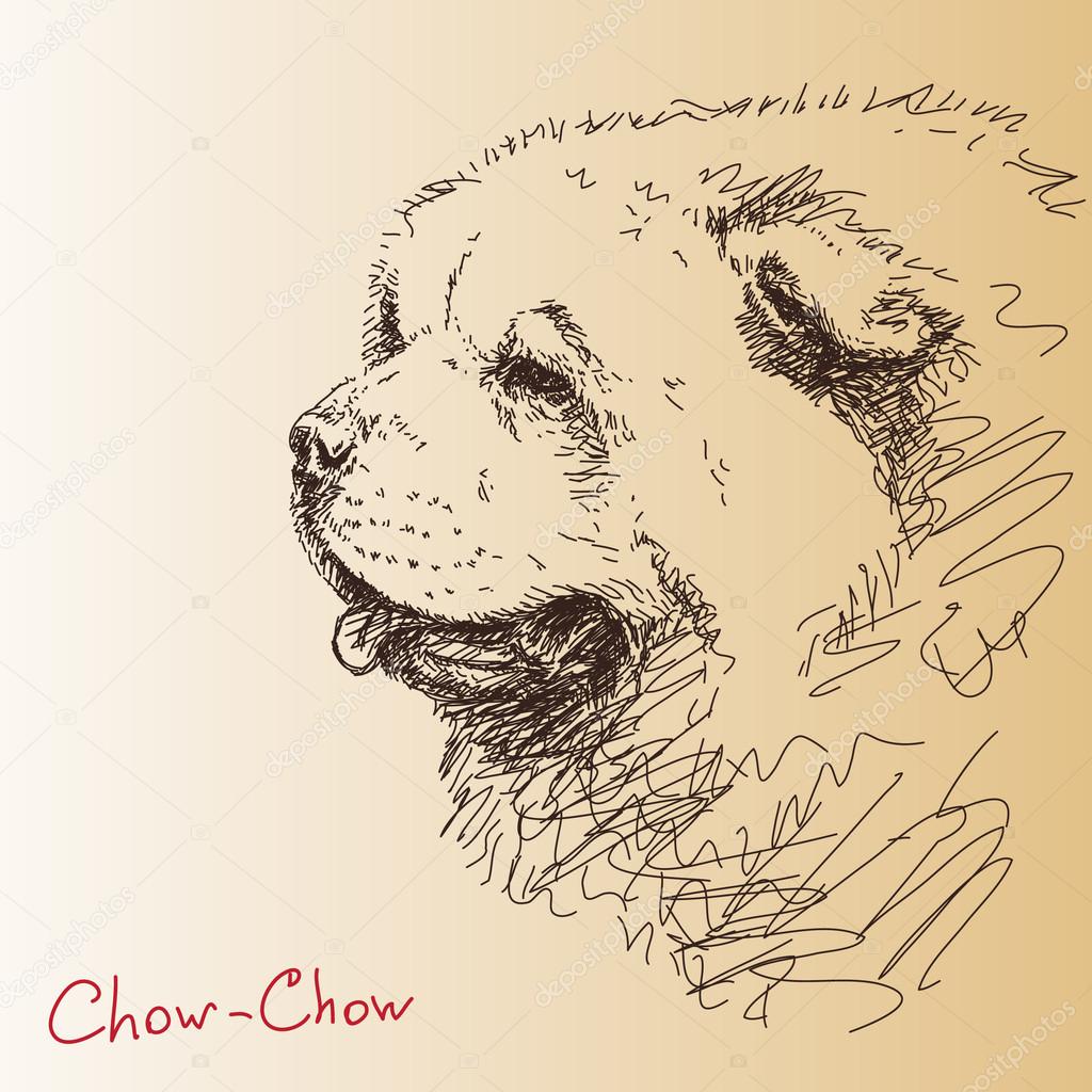 Chow-chow