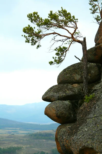 Vackert landskap — Stockfoto