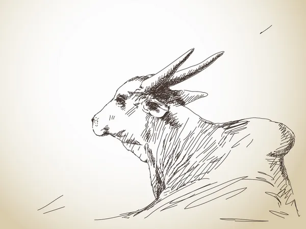 Vache zébu — Image vectorielle