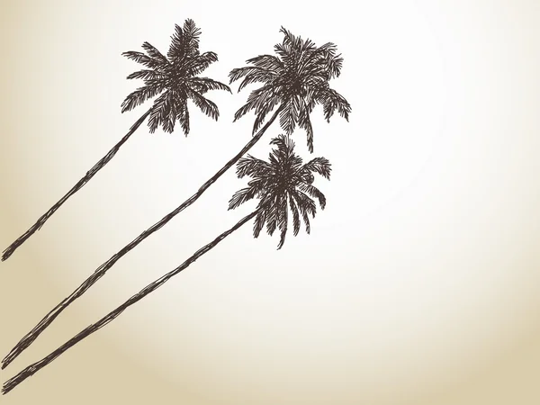 Skiss av palm tree — Stock vektor