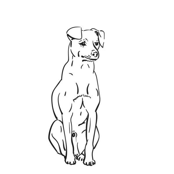 Perro Sentado Mirando Triste Dibujo Vectorial Ilustración Dibujada Mano Animal — Archivo Imágenes Vectoriales