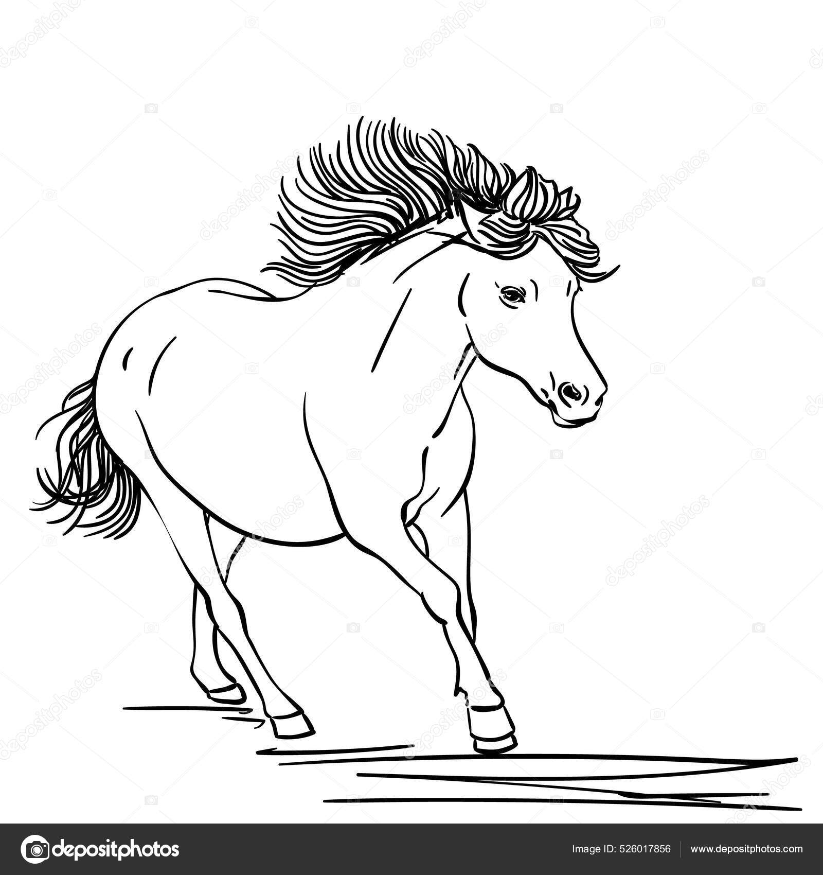 Horse Imagens de Stock de Arte Vetorial