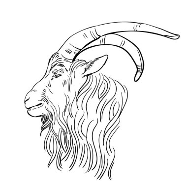 Sanat tarzında büyük boynuzları olan el çizimi keçi kafası, vektör çizimi.