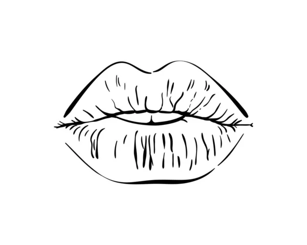 Halb Geöffneter Mund Mit Dicken Lippen Küssen Isolierte Linienkunst Handgezeichnete — Stockvektor