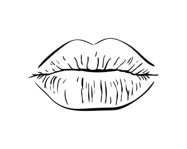 Sexy Labios Regordetes Beso Arte Línea Aislada Ilustración Dibujada Mano — Archivo Imágenes Vectoriales