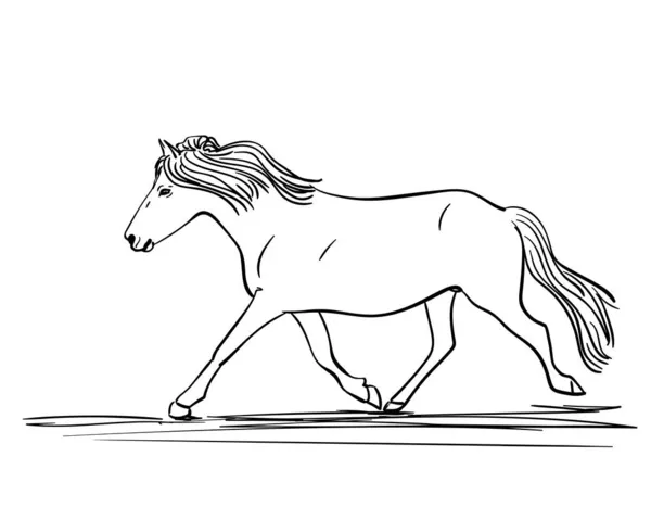 Cavalo Corrida Desenhado Mão Estilo Arte Linha Vector Sketch — Vetor de Stock