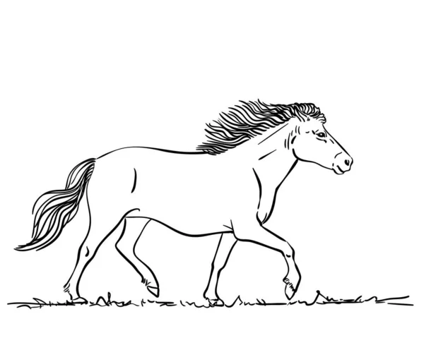 Caballo Dibujado Mano Estilo Arte Línea Bosquejo Vectorial — Vector de stock