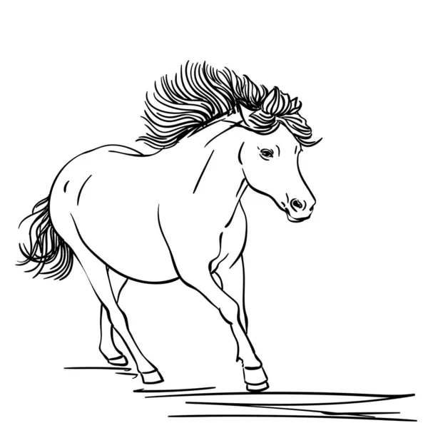 Cavalo Corrida Desenhado Mão Estilo Arte Linha Vector Sketch — Vetor de Stock