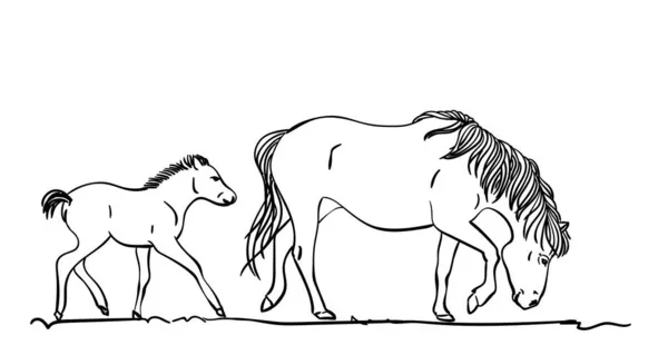 Ручной Рисунок Лошади Жеребенка Эскиз Стиле Векторной Линии — стоковый вектор