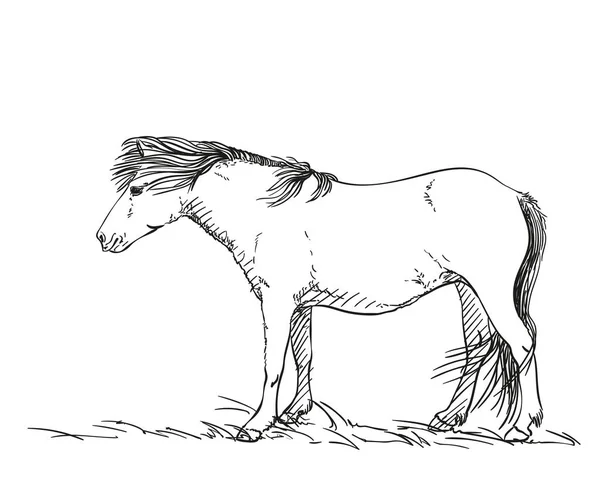 風吹きマン付き馬のスケッチ手描きベクトルイラスト白に孤立 — ストックベクタ