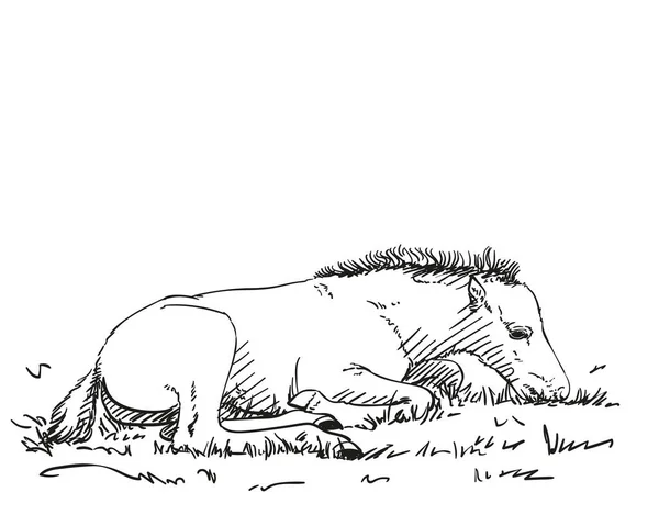 手牵着小鹿躺在草地上 病媒草图被白色隔开 — 图库矢量图片