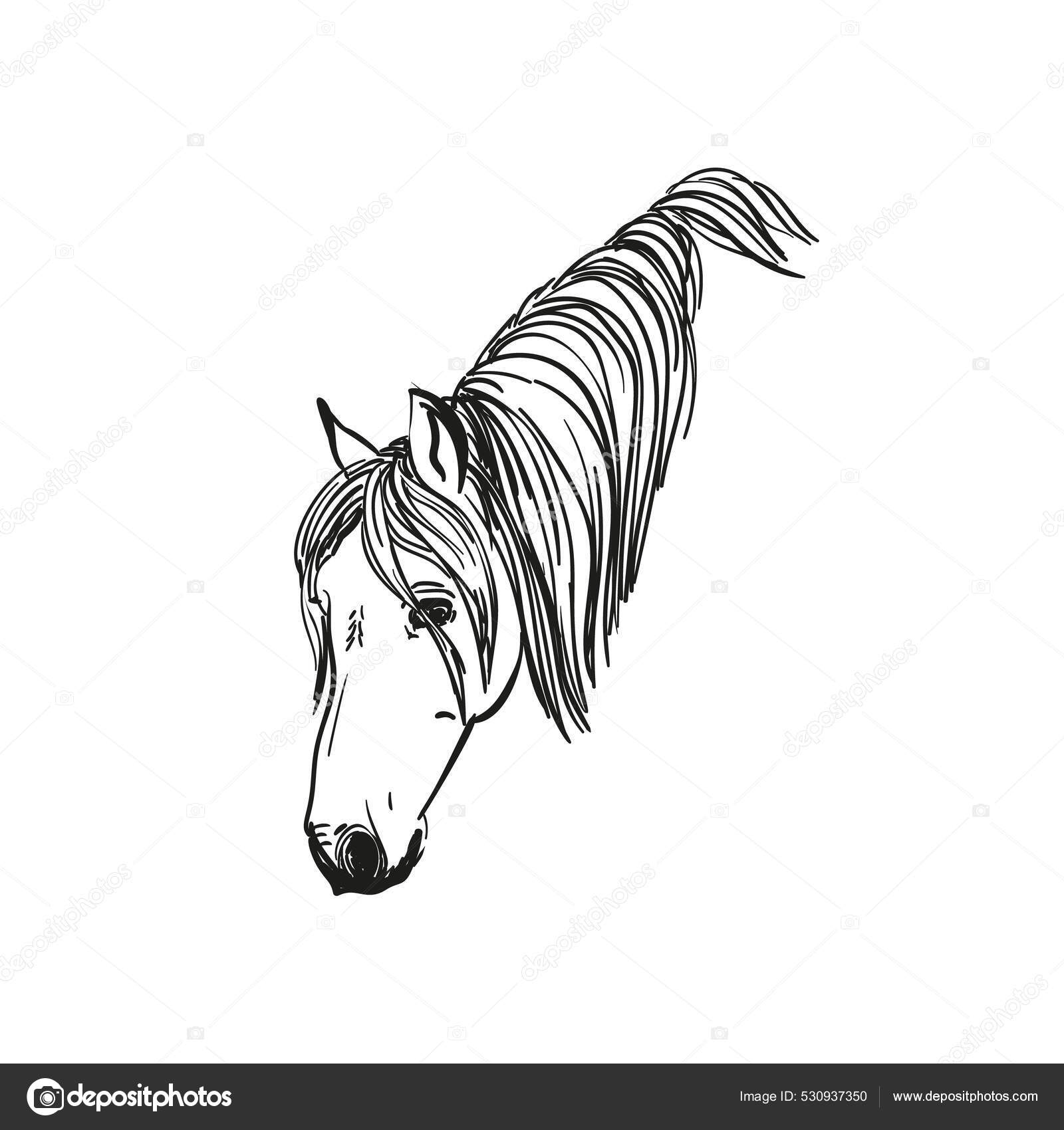 Standing Horse Pony Line art Sketch, horse, horse, animals, mare png