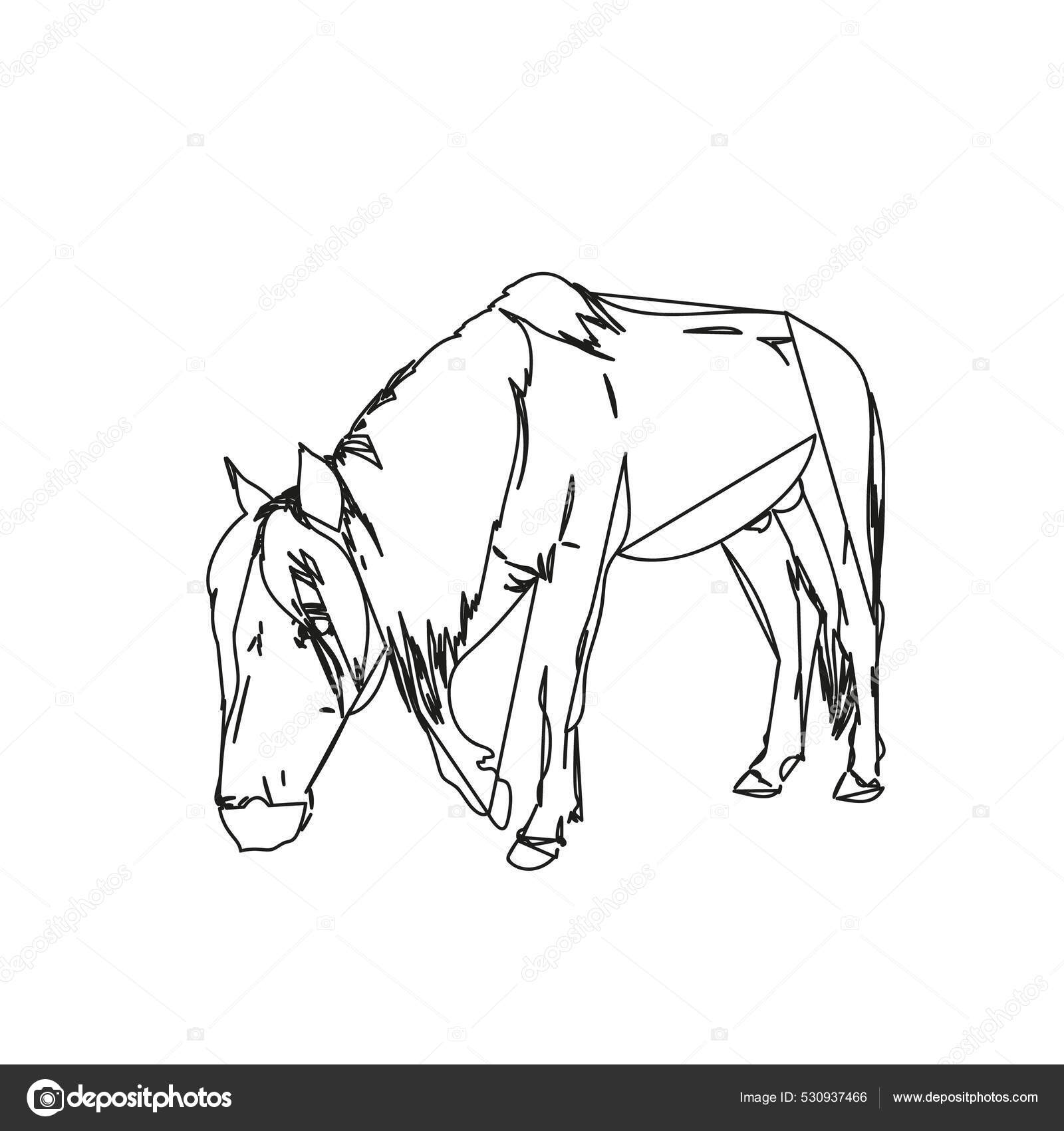 Standing Horse Pony Line art Sketch, horse, horse, animals, mare png