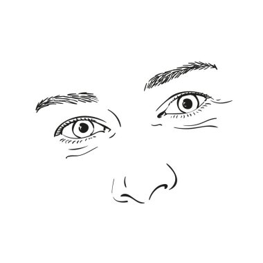 El çizimi güzel yüz özellikleri: gözler, kaşlar ve burun beyaz arka planda izole edilmiş, Vektör illüstrasyonu