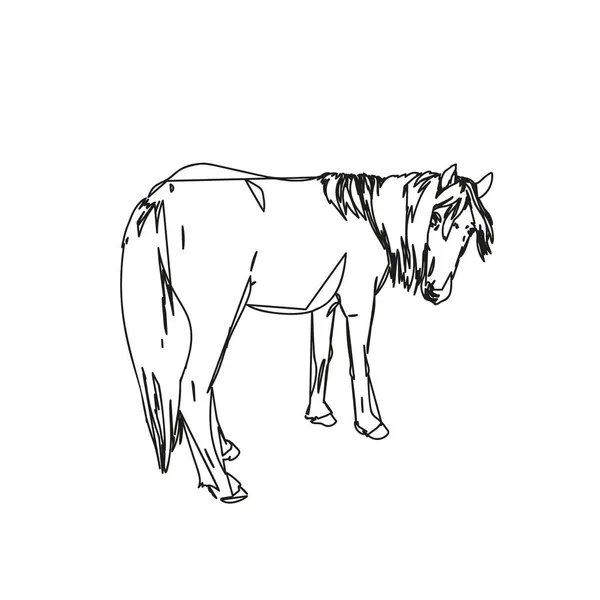 Abstract Line Sketch Horse Long Criniera Turned Her Head Look — Vettoriale Stock