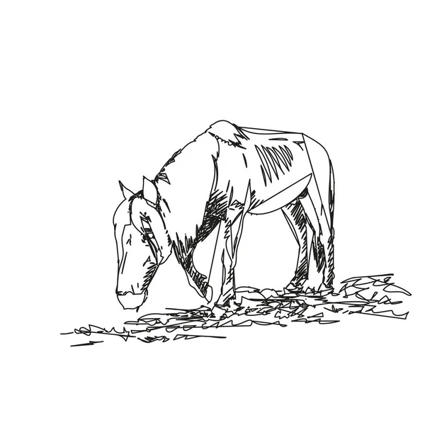 Abstract Sketch Horse Hungry Horse Protruding Ribs Walks Slowly Head — Vetor de Stock