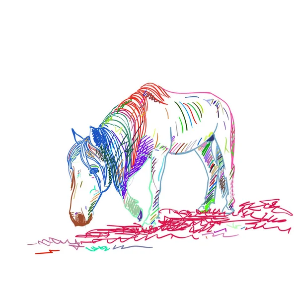 饥肠辘辘的马低着头慢慢地走着 全长肖像画了不同颜色的墨水 矢量草图 手绘图解 — 图库矢量图片