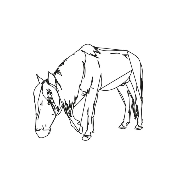 アブストラクトラインスケッチ馬の頭をゆっくりと歩くと 完全な長さの肖像画隔離された黒と白のベクトル手描きの動物イラスト — ストックベクタ