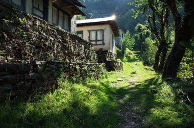 Nepal Himalayaları 'nda gezinti. Sihirli sabah ışığı Jiri ve Lukla arasındaki yolda Everest 'in alt kısmında. Kinja köyünden dönerken.