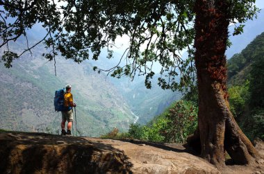Sırt çantalı turist, Himalaya 'daki Dudh Koshi nehir vadisinde, Lukla, Solukhumbu, Everest Bölgesi, Nepal yakınlarındaki Dudh Koshi nehri manzarasının keyfini çıkarıyor.