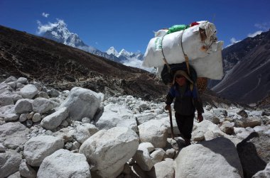 Sagarmatha Ulusal Parkı, Nepal - 20 Mayıs 2019 Porter nehir yatağında son derece büyük bir yük taşımaktadır. Everest yolu, Dughla yakınlarında patika (4620 metre)