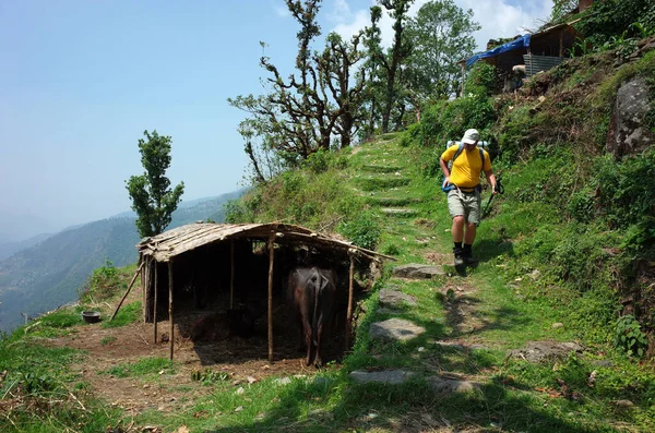 Trekking Nepal Himalaya Senderismo Turístico Masculino Por Sendero Verde Junto — Foto de Stock