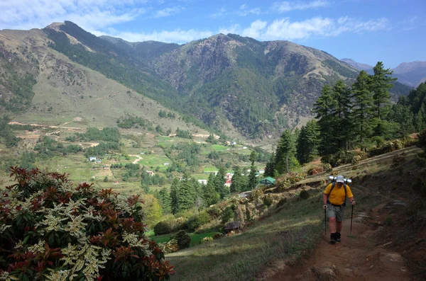 尼泊尔Solukhumbu地区Junbesi Sherpa村附近喜马拉雅山珠穆朗玛峰下段Jiri和Lukla之间小径上的绿山徒步旅行 — 图库照片