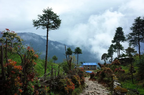 Village Montagne Long Sentier Entre Jiri Lukla Partie Inférieure Everest — Photo