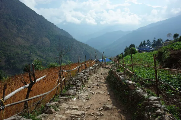 Sentier Montagne Entre Les Champs Jiri Lukla Partie Inférieure Everest — Photo