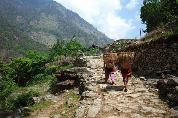 尼泊尔Solukhumbu地区喜马拉雅山地区以传统方式提篮子的尼泊尔妇女 从后面看 — 图库照片