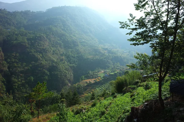 Paisaje Verde Montaña Cerca Karikhola Región Solukhumbu Himalaya Nepal — Foto de Stock