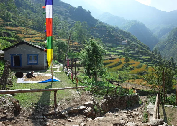 尼泊尔珠穆朗玛峰地区Solukhumbu Bupsa村附近绿色喜马拉雅山的房屋旁边挂着佛教祈祷旗 — 图库照片