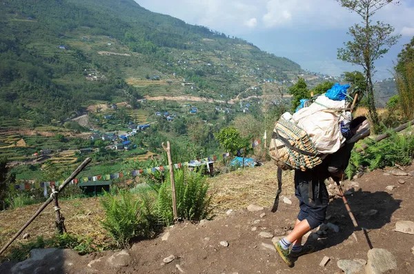 Porter Nehéz Rakományt Szállít Kosárban Fel Zöld Himalája Hegyek Kilátás — Stock Fotó