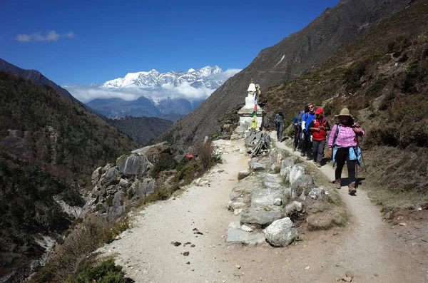 Parque Nacional Sagarmatha Nepal Mayo 2019 Caminata Grupo Turistas Las —  Fotos de Stock