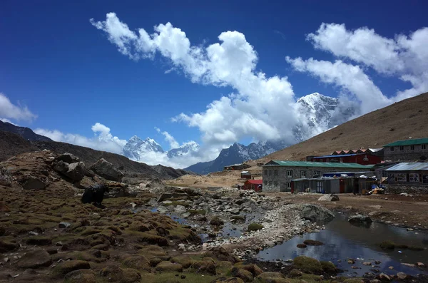 Sagarmatha Nationalpark Lobuche Nepal Mai 2019 Everest Trek Pensionen Von — Stockfoto