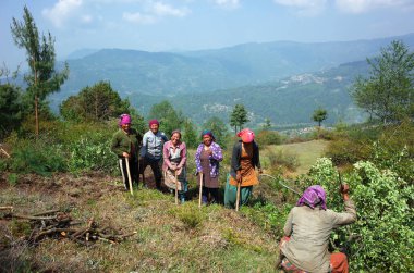 Dolakha İlçesi, Nepal - 28 Nisan 2019: Jiri yakınlarındaki dağlarda teras alanında çalışan nepalli kadınlar grubu
