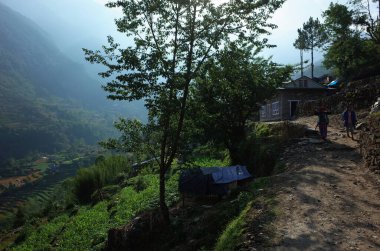 Solukhumbu, Everest Bölgesi, Nepal - 6 Mayıs 2019: Nepalli kadınlar sabahın erken saatlerinde Himalaya dağlarında Karikhola köyünde yürüyorlar