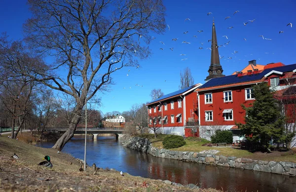 Vasteras Schweden März 2019 Vögel Fliegen Vorfrühling Über Vasteras Altstadt — Stockfoto