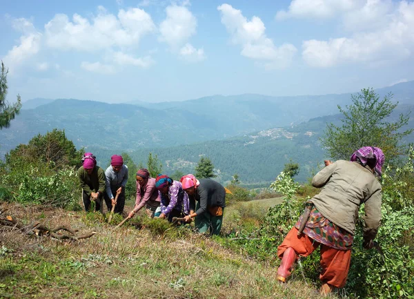 Distrikt Dolakha Nepal April 2019 Eine Gruppe Nepalesischer Frauen Arbeitet — Stockfoto