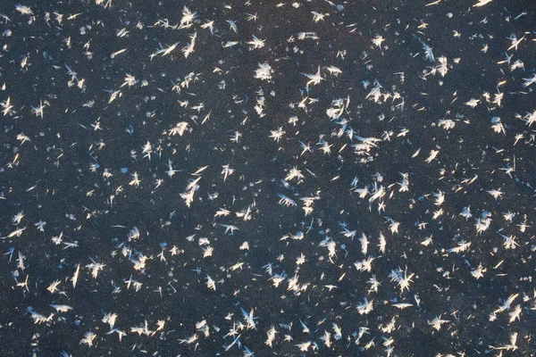Kryształy Śniegu Powierzchni Lodu Streszczenie Zimowe Tło Białym Szronem Szary — Zdjęcie stockowe